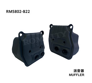 Muffler assy