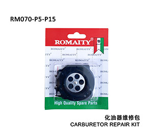 Carburetor repair kit
